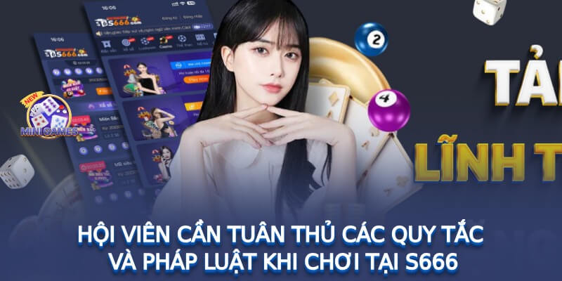 S6666 Có Hợp Pháp Không Và Sự Thật Khiến Anh Em Ngỡ Ngàng