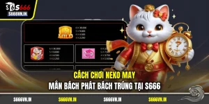 Cách Chơi Neko May Mắn Bách Phát Bách Trúng Tại S666