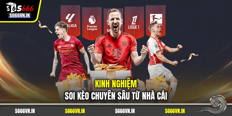 Kinh nghiệm soi kèo chuyên sâu từ nhà cái