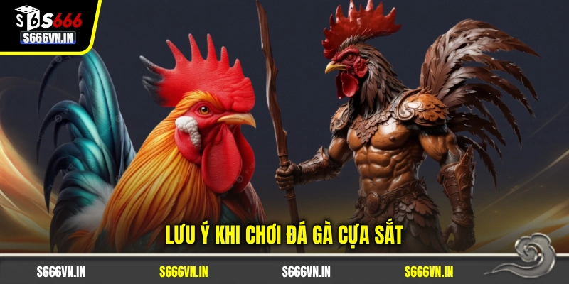 Lưu ý khi chơi đá gà cựa sắt