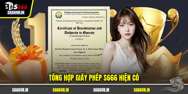 Giấy phép S666 2 Tổng hợp giấy phép S666 hiện có