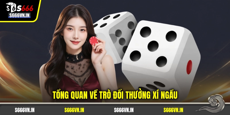 Tổng quan về trò đổi thưởng xí ngầu Tổng quan về trò đổi thưởng xí ngầu